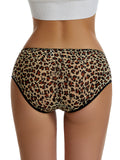 Lace Leopard Cheeky Panty