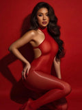 Brianna Glossy Full Bodystocking