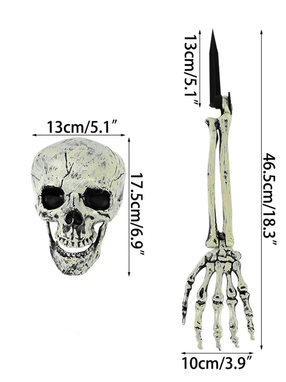 Skull & Skeleton Hands Décor