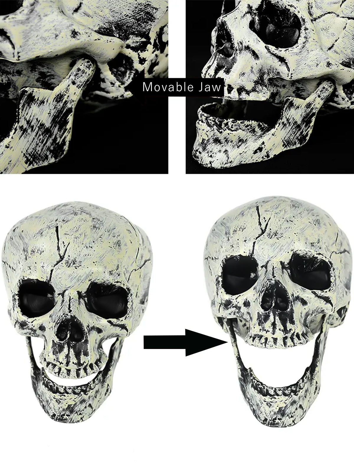 Skull & Skeleton Hands Décor